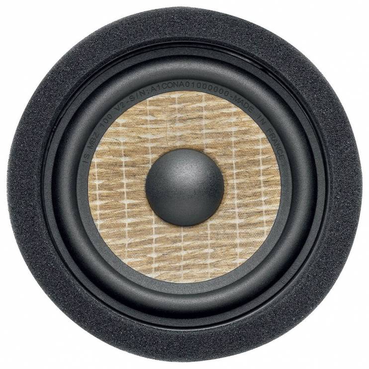 Focal IS MBZ100 V2