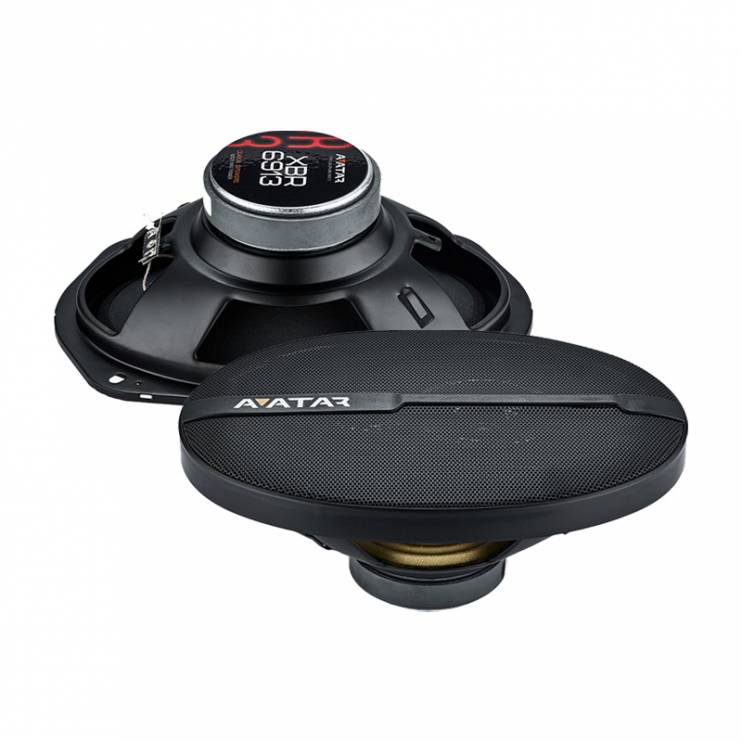 Avatar XBR-6913